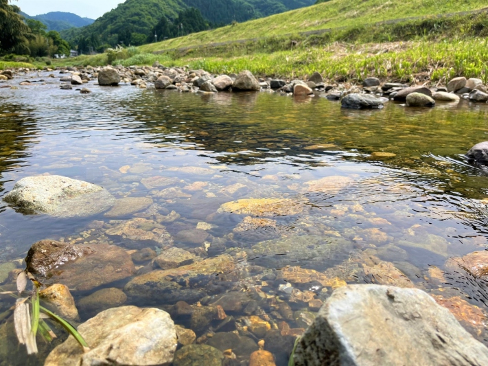 【兵庫県/新温泉町】田君川のバイカモ開花情報　2022/5/28撮影