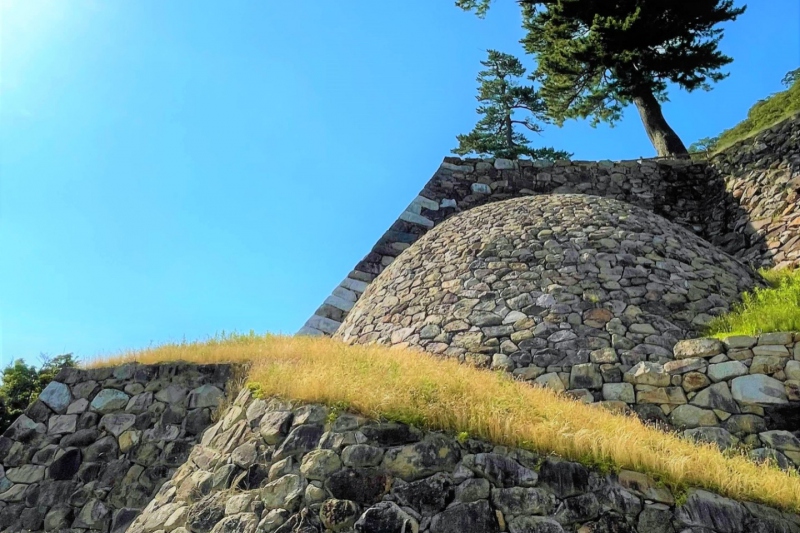 鳥取城のシンボル丸い石垣である「天球丸 巻石垣」