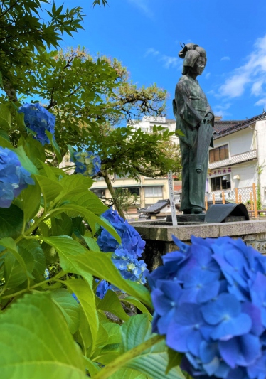 【兵庫県/湯村温泉】夢千代像とアジサイ