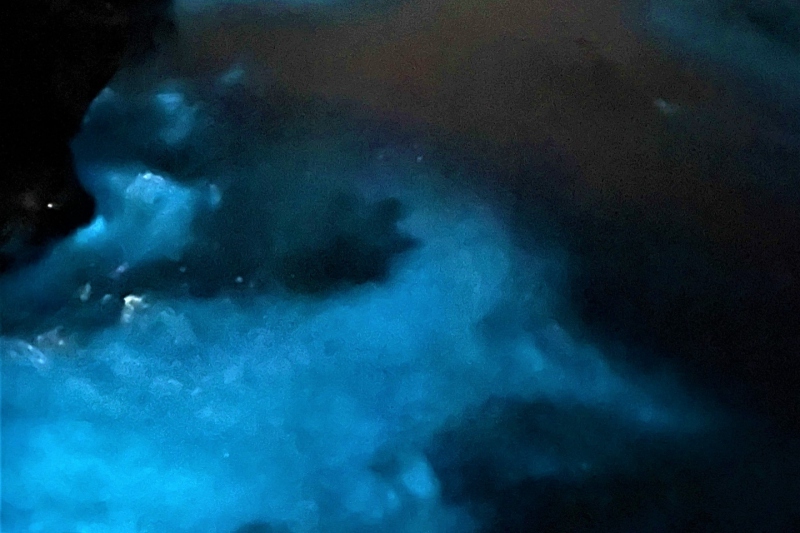 夜に青白く輝く神秘的な海の風景～夜光虫～【兵庫県/新温泉町】