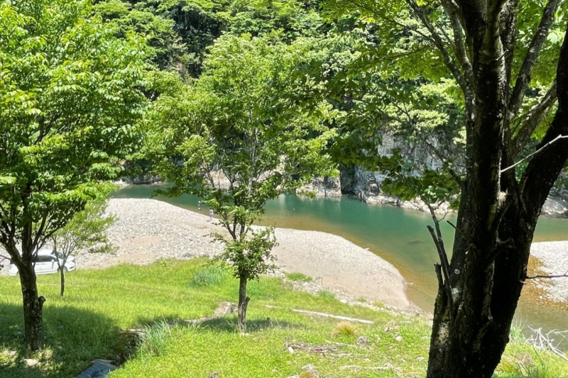 【湯村温泉周辺】道の駅「あゆの里　矢田川」付近で川遊び！森林浴や渓流釣りも