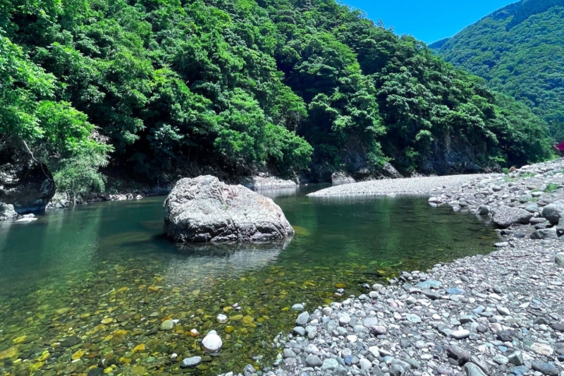 【湯村温泉周辺】道の駅「あゆの里　矢田川」付近で川遊び！森林浴や渓流釣りも