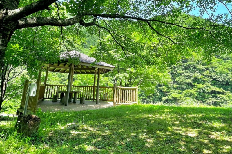 【湯村温泉周辺】道の駅「あゆの里　矢田川」付近で川遊び！森林浴や渓流釣りも