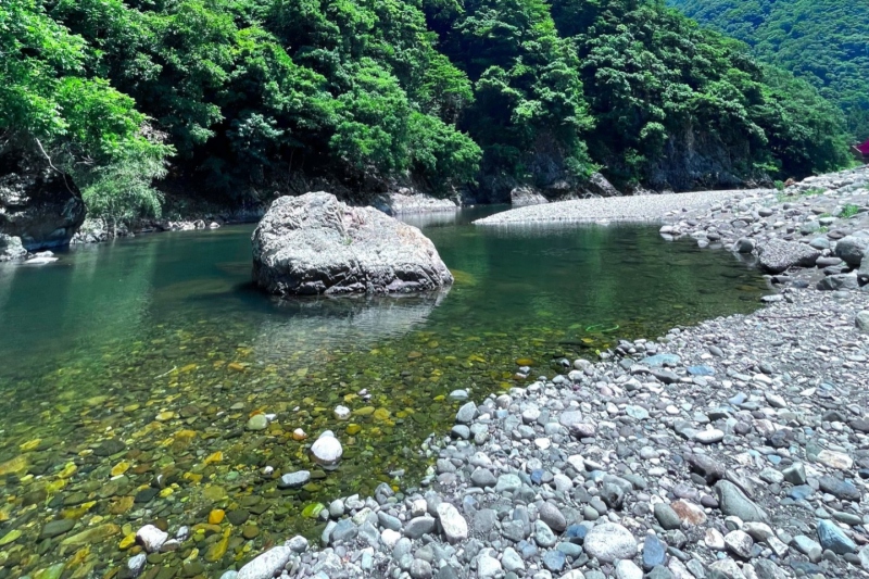 【湯村温泉周辺】道の駅「あゆの里　矢田川」付近で川遊び！森林浴や渓流釣りも
