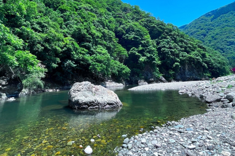 【湯村温泉周辺】道の駅「あゆの里　矢田川」付近で川遊び！森林浴や渓流釣りも