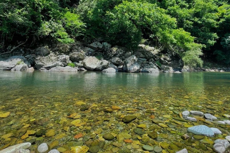 【湯村温泉周辺】道の駅「あゆの里　矢田川」付近で川遊び！森林浴や渓流釣りも