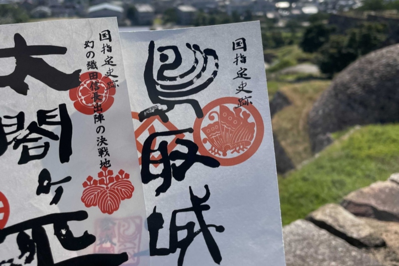 【日本100名城の1つ】鳥取城の御城印と合戦印