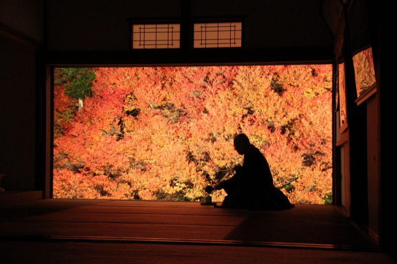 但馬安国寺ドウダンツツジの紅葉