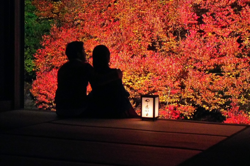 但馬安国寺ドウダンツツジの紅葉