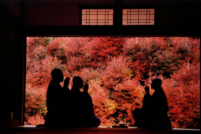 但馬安国寺ドウダンツツジの紅葉