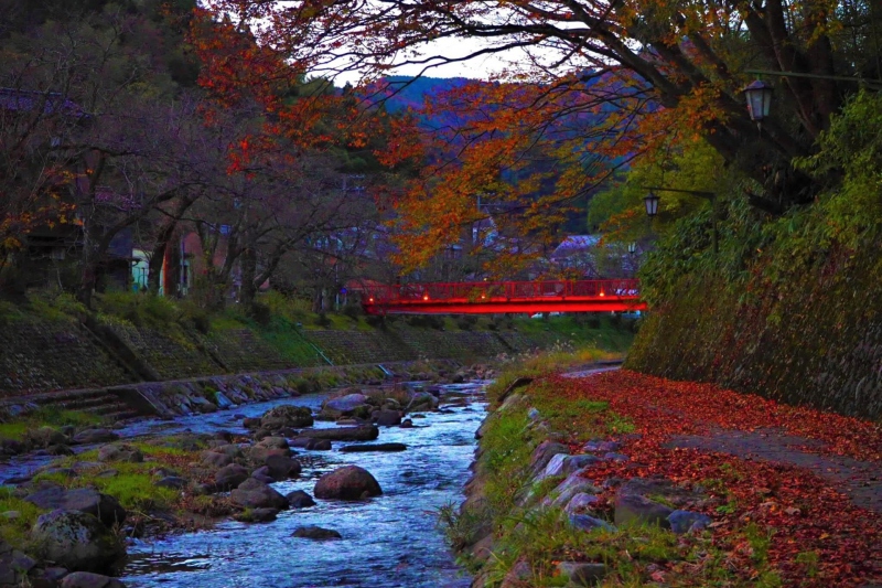 【兵庫県/湯村温泉】晩秋の春来川