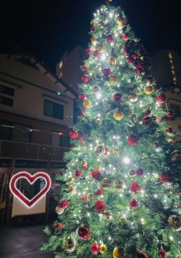 兵庫県/湯村温泉のクリスマスイルミネーション