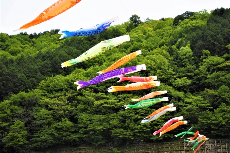 白井大町藤公園