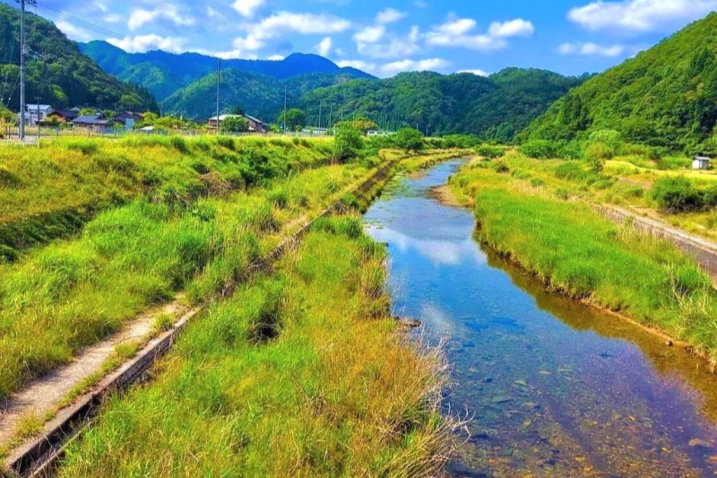 【兵庫県/新温泉町】久斗川のバイカモ