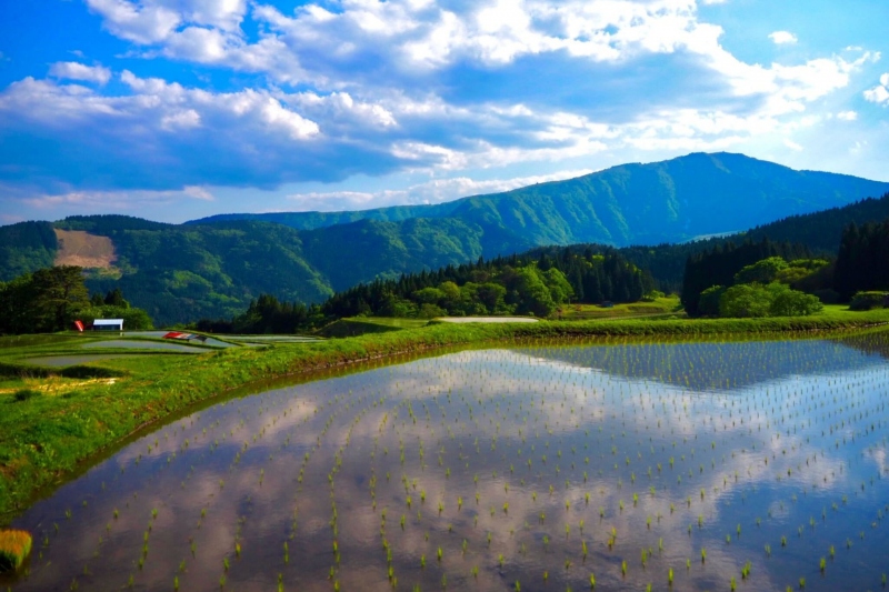 氷ノ山を正面に望む「別宮の棚田」