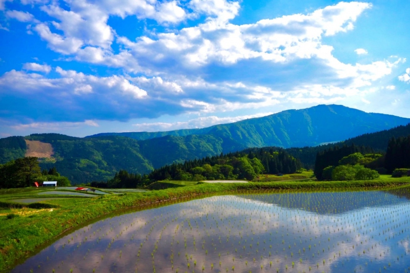 氷ノ山を正面に望む「別宮の棚田」