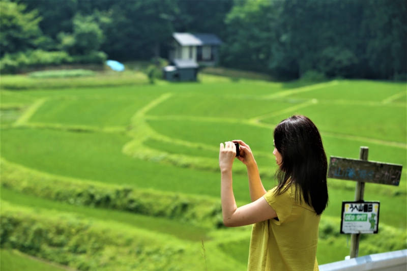 うへ山の棚田 緑豊かな時期