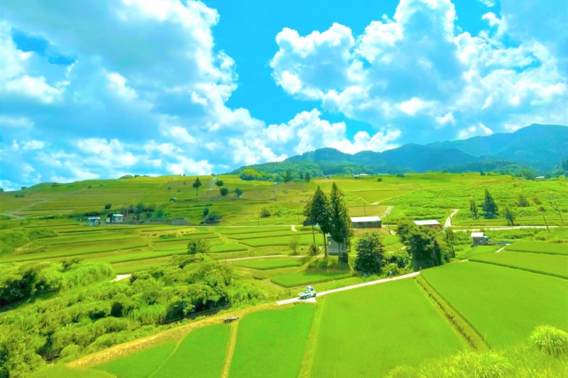 【兵庫県/新温泉町丹土の棚田】但馬牧場公園近くの田園風景～夏～