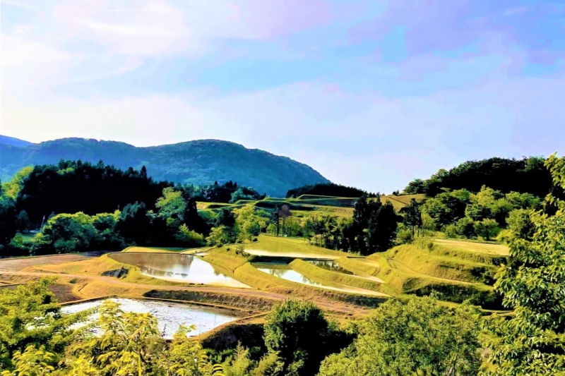 鳥取県/岩美町「横尾（よこお）の棚田」