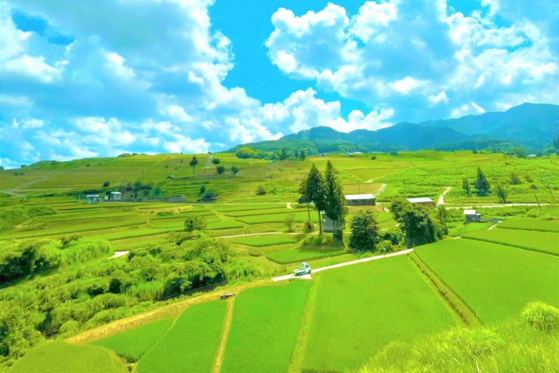 【兵庫県/新温泉町丹土の棚田】但馬牧場公園近くの田園風景～夏～