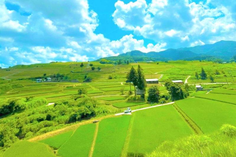 【兵庫県/新温泉町丹土の棚田】但馬牧場公園近くの田園風景～夏～