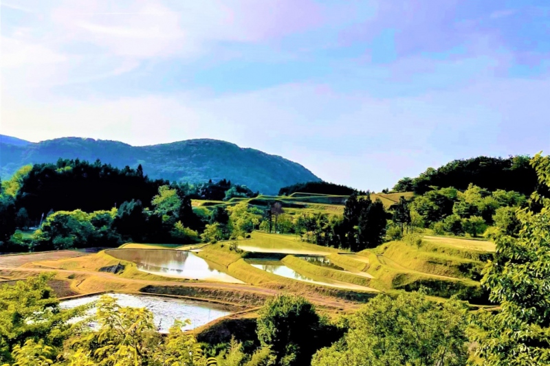 鳥取県/岩美町「横尾（よこお）の棚田」