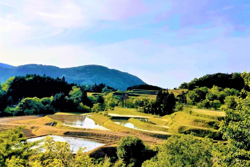 鳥取県/岩美町「横尾（よこお）の棚田」