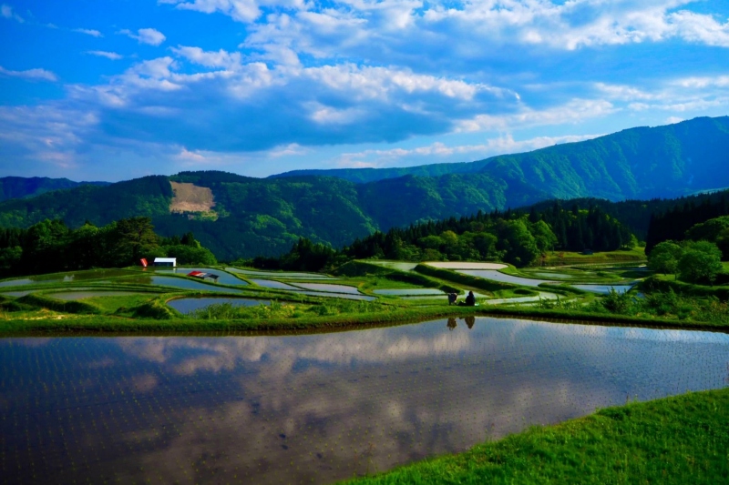 別宮（べっくう）の棚田＜兵庫県/養父市＞