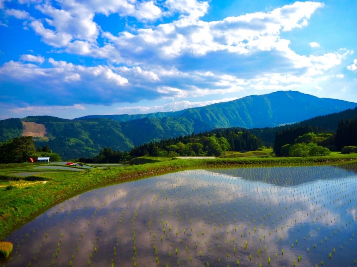 氷ノ山を正面に望む「別宮の棚田」＜兵庫県/養父市＞