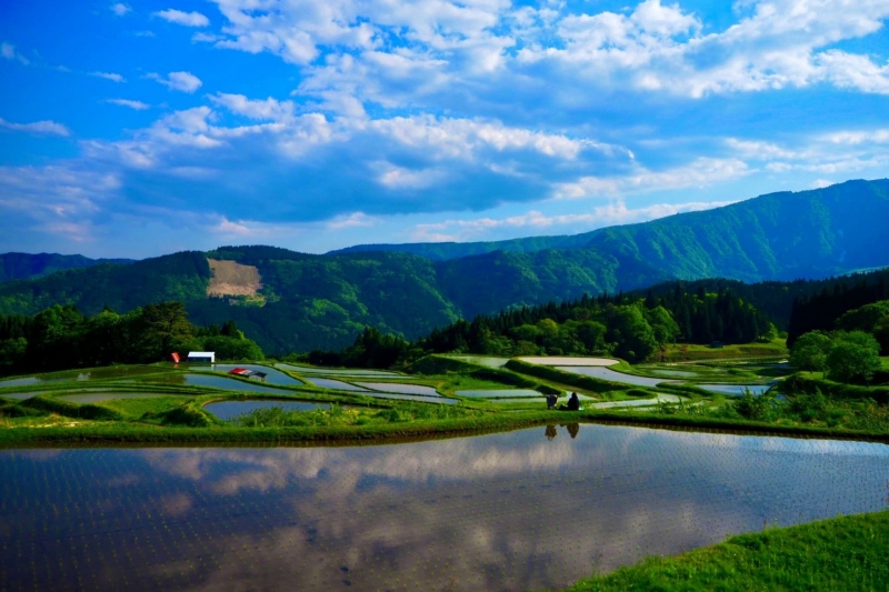 別宮（べっくう）の棚田＜兵庫県/養父市＞