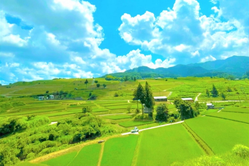 【兵庫県/新温泉町丹土の棚田】但馬牧場公園近くの田園風景