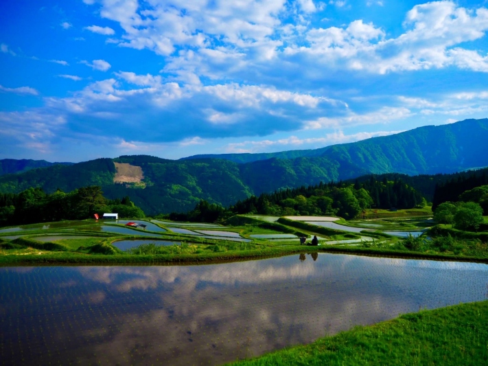 兵庫県/湯村温泉周辺の棚田