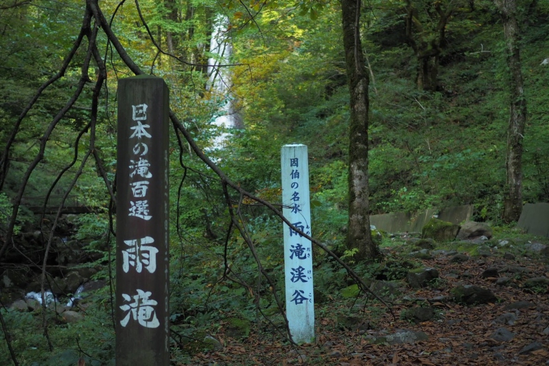 雨滝（あめだき）