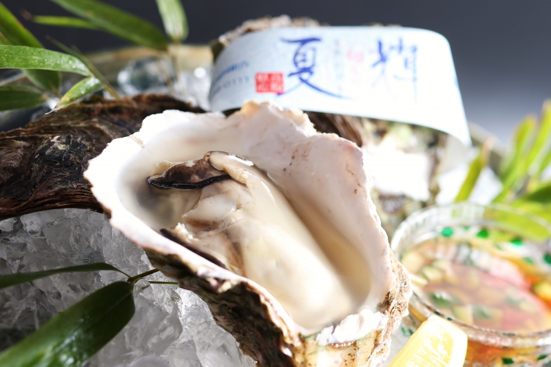 夏限定のランクアップ食材～鳥取港産天然岩牡蠣「夏輝」
