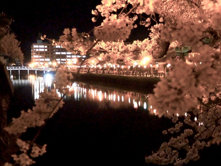 鳥取城跡/久松公園の桜ライトアップ＜春＞