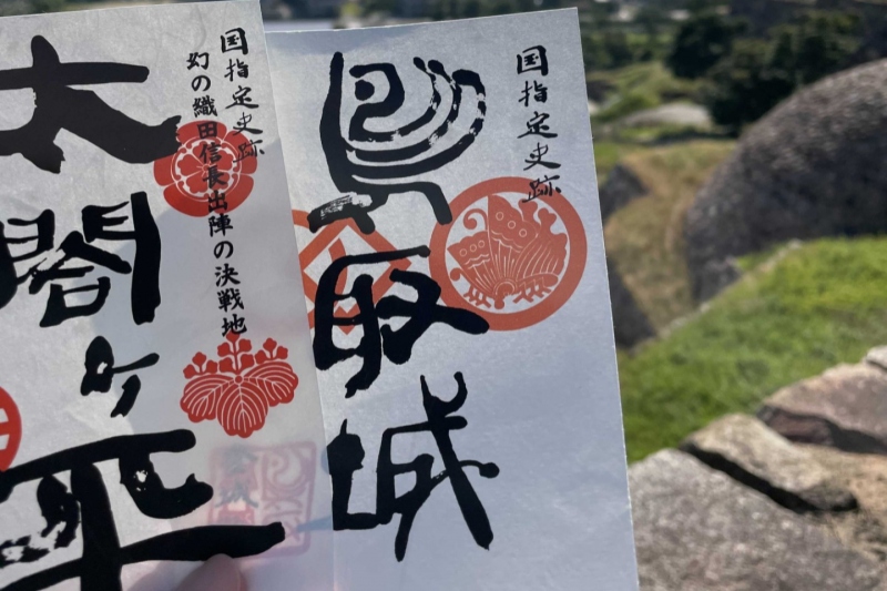 【日本100名城の1つ】鳥取城の御城印と合戦印