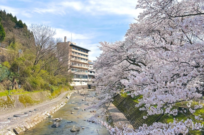 ゆあむ外観と春来川の桜並木