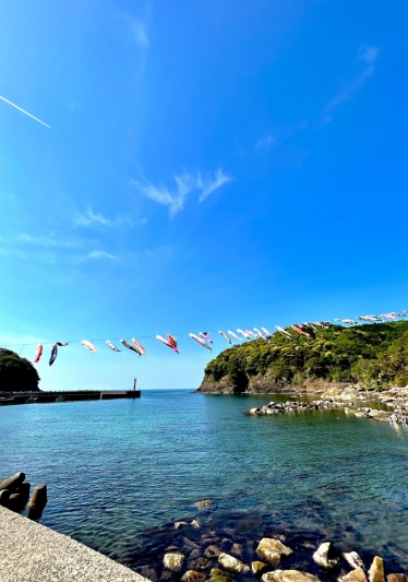 鎧地区の海を泳ぐこいのぼり＜兵庫県/香美町＞