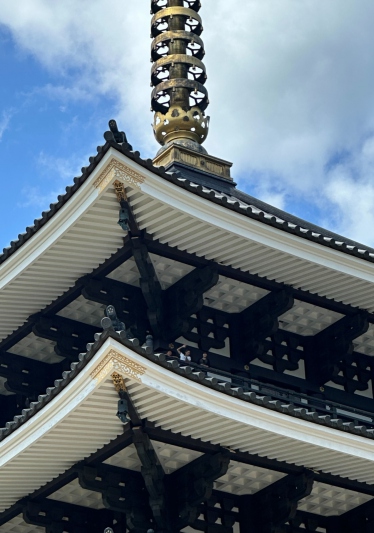 「但馬大佛（大仏）長楽寺」＜兵庫県/香美町＞