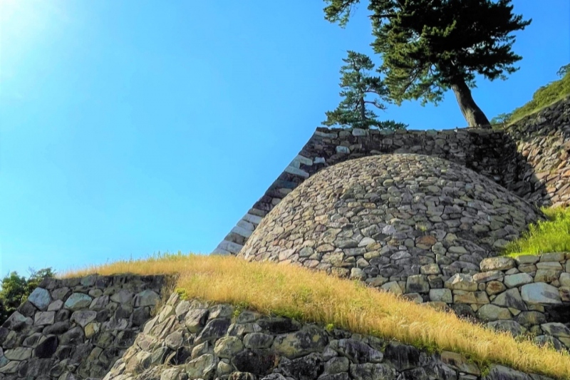 兵糧攻めで有名な鳥取城（跡）＜鳥取県/鳥取市＞