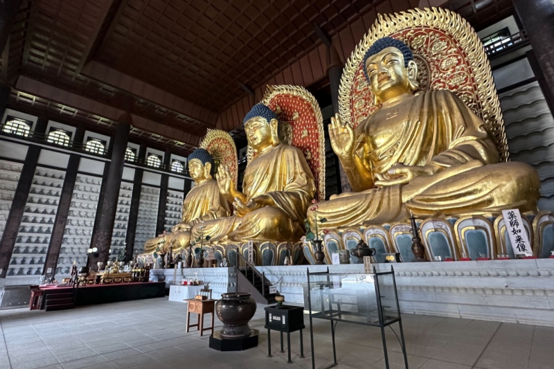 兵庫県/香美町 で寺社巡り（但馬大佛・大乗寺）