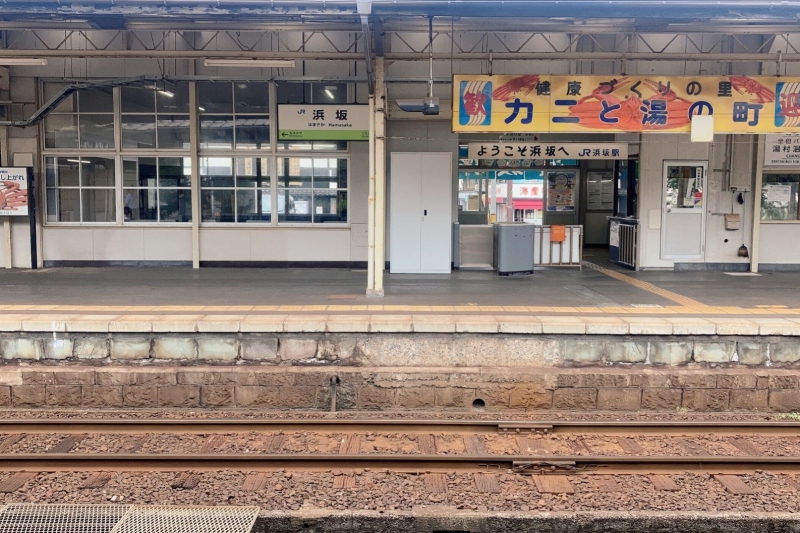 【兵庫県/湯村温泉】赤いグミの実～今年も実りました～