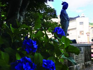 湯村温泉・夢千代像と紫陽花、合歓の花