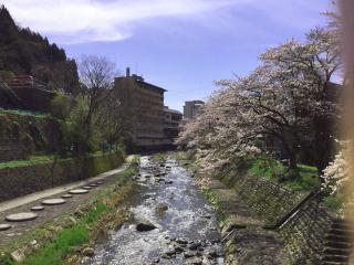 湯村温泉、竹田城跡など桜の開花スポット＜目安：4月上旬～中旬＞