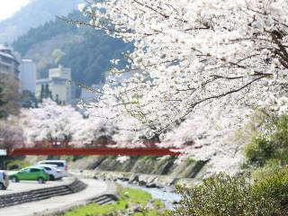 21年 兵庫県 湯村温泉周辺の桜の開花スポット 竹田城跡や鳥取なども 観光情報 新着情報 公式 兵庫 山陰 湯村温泉 湧泉の宿ゆあむ 旅館 ホテル 21年 兵庫県 湯村温泉周辺の桜の開花スポット 竹田城跡や鳥取なども 観光情報 新着情報 公式 兵庫 山陰 湯村温泉 湧泉の宿ゆあむ 旅館 ホテル