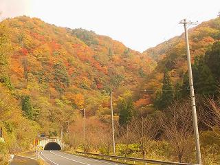 兵庫県但馬/神鍋（かんなべ）付近の紅葉（2020/11/8撮影）
