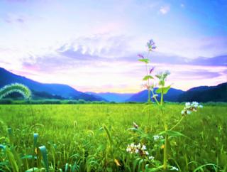 【兵庫県/新温泉町】真夏の夕陽に輝く山々と緑あふれる大自然