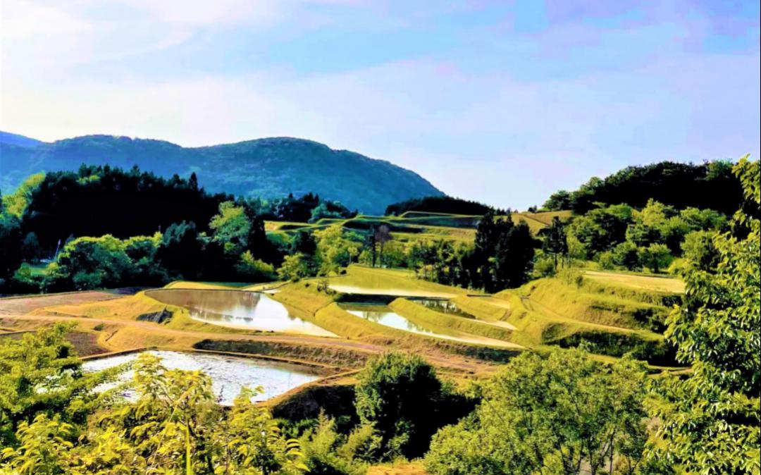 横尾の棚田