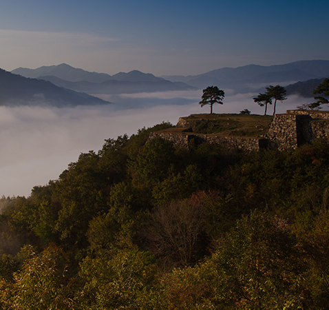 Takeda Castle